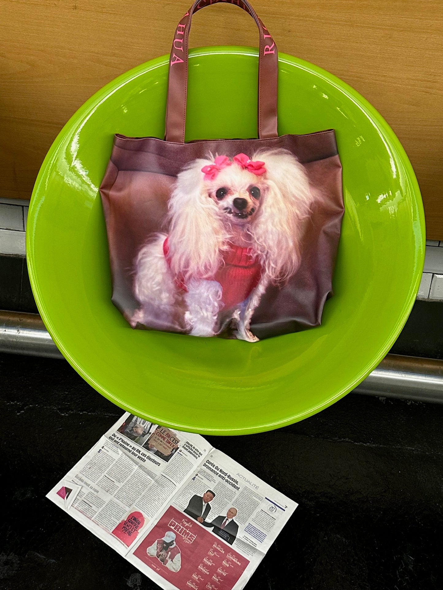 Barbie teddy dog Tote