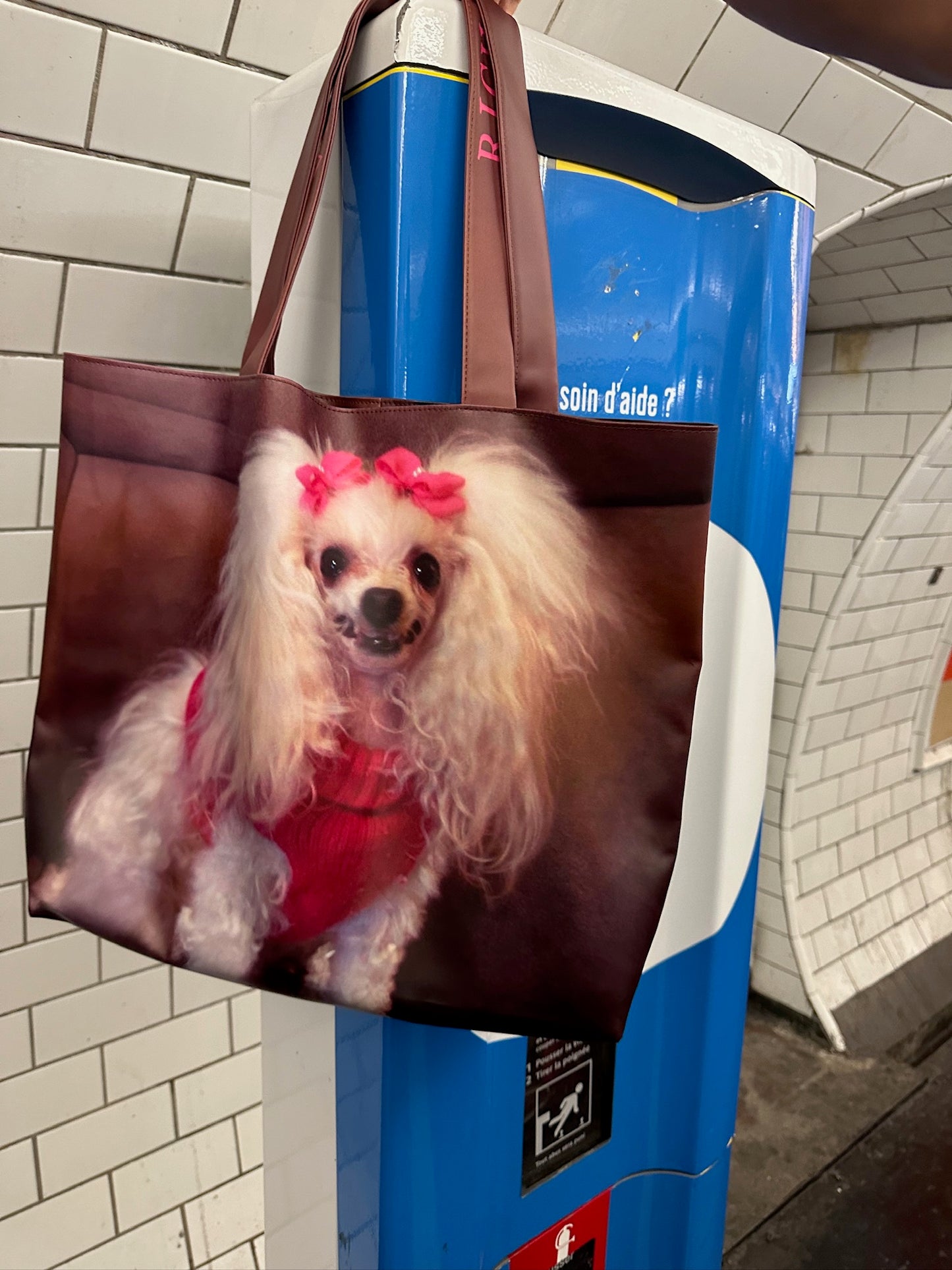 Barbie teddy dog Tote